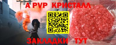 a pvp Долгопрудный