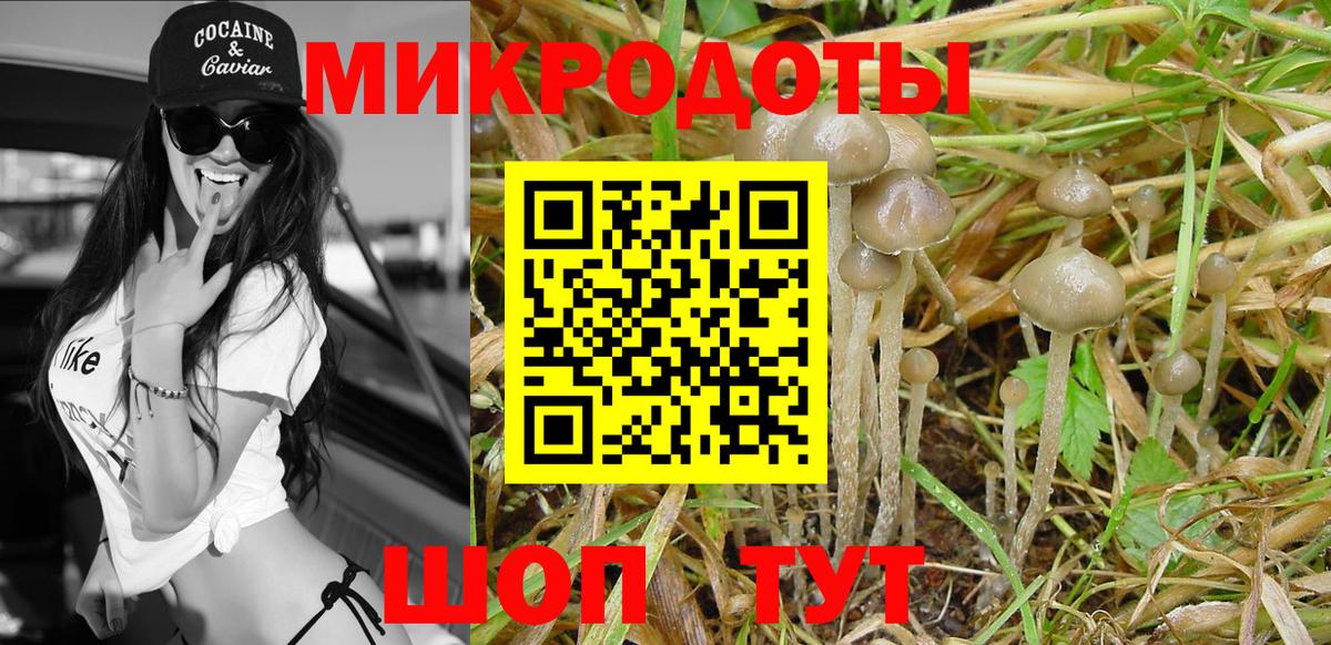 Псилоцибиновые грибы прущие грибы  Вход с VPN  Галлюциногенные грибы GOLDEN TEACHER  Мытищи 