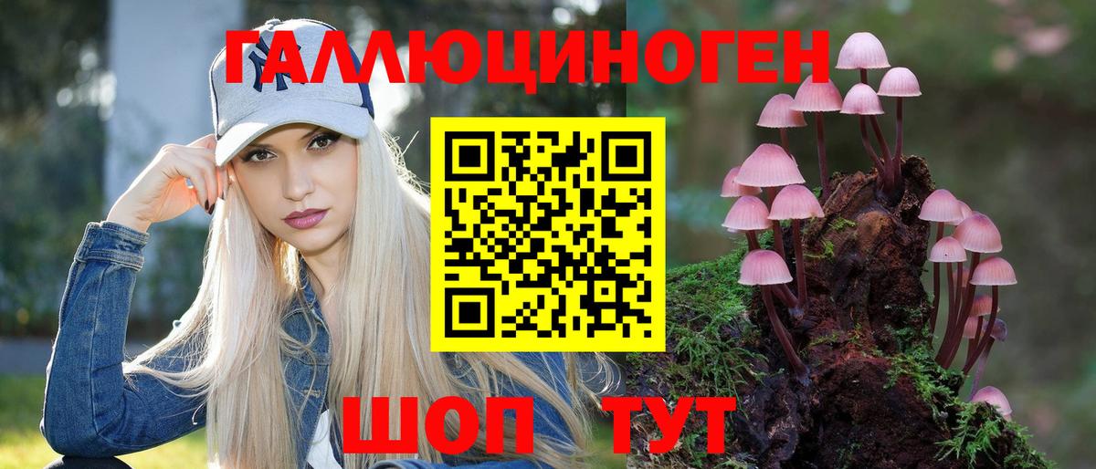 Галлюциногенные грибы Psilocybine cubensis Мытищи